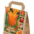 Tulpen Orange Shades: Bild 1/1