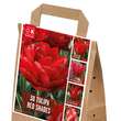 Tulpen Rot Shades: Bild 1/1