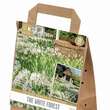 Cottage Garden The White Forest: Bild 1/2