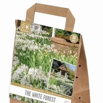 Cottage Garden The White Forest