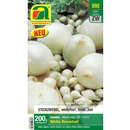 Allium cepa White Snowball - Weißer Steckzwiebel