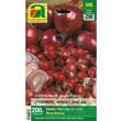 Allium cepa Red Arrow: Bild 1/2