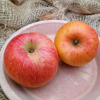 Malus domestica 'Braeburn'