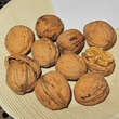 Juglans regia 'Seifersdorfer Runde': Bild 1/1