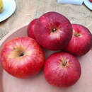 Malus domestica 'Santana' - Herbstapfel