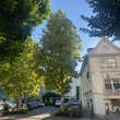 Platanus hispanica 'Tremonia': Bild 1/1