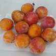Prunus dom. 'Bellamira': Bild 3/3