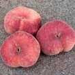 Prunus persica 'Tellerpfirsich Bianca': Bild 1/5