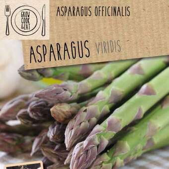 Asparagus viridis