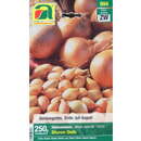 Allium cepa - Steckzwiebel Sturon Gelb