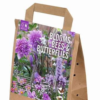 Zwiebelmischung für Bienen violett