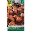 Allium cepa Golden Gourmet - Pflanzschalotte Golden Gourmet