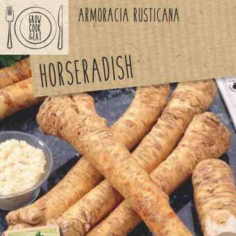 Armoracia rusticana