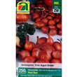 Allium cepa var. aggregatum Red Sun: Bild 1/3