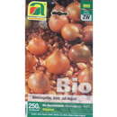 Allium cepa - Steckzwiebel Sturon Bio