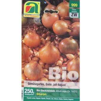 Allium cepa Bio