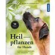 Heilpflanzen für Hunde: Bild 1/9