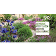 Heimische Wildstauden im Garten: Bild 2/11