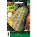 Kürbis "Langer von Neapel" - Kürbis "Langer von Neapel"