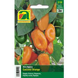 Mini-Paprika "Cuccino Orange" - Mini-Paprika "Cuccino Orange"