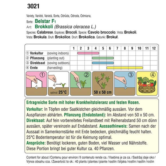 Brokkoli "Belstar F1": Bild 4/4 Brokkoli "Belstar F1": Bild 4/4