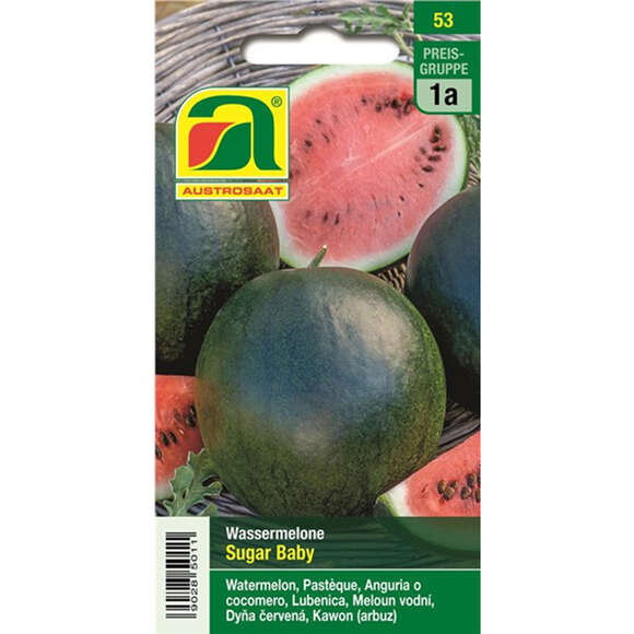 Wassermelone "Sugar Baby": Bild 1/4