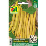 Buschbohne "Wachs Beste von Allen (Brittle Wax)" - Buschbohne "Wachs Beste von Allen (Brittle Wax)"