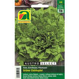 Schnittsalat "Grüner Eishäuptel" - Schnittsalat "Grüner Eishäuptel"
