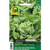 Kopfsalat "Kagraner Sommer 2" - Kopfsalat "Kagraner Sommer 2"