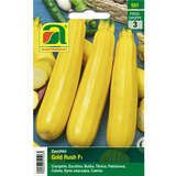 Zucchini "Gold Rush F1" - Zucchini "Gold Rush F1"