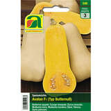 Kürbis "Avalon F1" (Typ Butternuß) - Kürbis "Avalon F1" (Typ Butternuß)