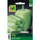 Paprika "WE 880" - Paprika "WE 880"
