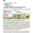 Kohlrabi "Superschmelz": Bild 4/4