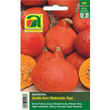 Kürbis "Uchiki Kuri" (Hokkaido-Typ) - Kürbis "Uchiki Kuri" (Hokkaido-Typ)