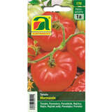 Tomate "Marmande" - Tomate "Marmande"