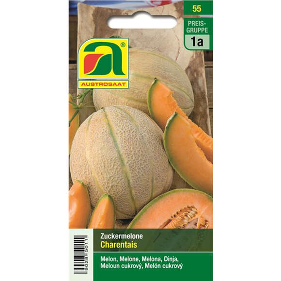 Zuckermelone "Charentais": Bild 1/4 Zuckermelone "Charentais": Bild 1/4