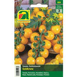 Tomate "Goldkrone" - Tomate "Goldkrone"