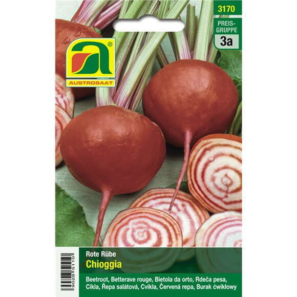 Rote Rüben "Chioggia": Bild 1/4 Rote Rüben "Chioggia": Bild 1/4