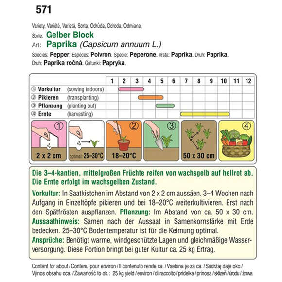 Paprika "Gelber Block": Bild 4/4 Paprika "Gelber Block": Bild 4/4