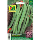 Feuerbohne "Preisgewinner (Prijswinner)" - Feuerbohne "Preisgewinner (Prijswinner)"