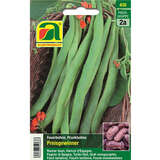 Feuerbohne "Preisgewinner (Prijswinner)" - Feuerbohne "Preisgewinner (Prijswinner)"