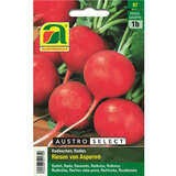 Radieschen "Riesen von Aspern®" - Radieschen "Riesen von Aspern®"