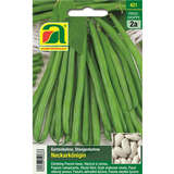 Stangenbohne "Neckarkönigin" - Stangenbohne "Neckarkönigin"