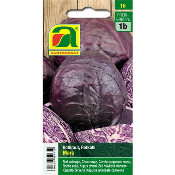 Rotkraut "Mars": Bild 1/3 Rotkraut "Mars": Bild 1/3