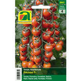 Tomate "Prezioso F1" - Tomate "Prezioso F1"