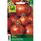 Tomate "Tigerella" - Tomate "Tigerella"