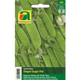 Zuckererbse "Oregon Sugar Pod" - Zuckererbse "Oregon Sugar Pod"