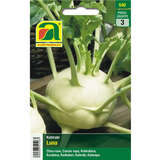 Kohlrabi "Luna" - Kohlrabi "Luna"