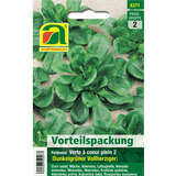Feldsalate "Verte á coeur plein 2 (Dunkelgrüner vollherziger)" - Feldsalate "Verte á coeur plein 2 (Dunkelgrüner vollherziger)"