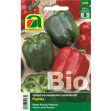 Paprika BIO "California Wonder" - Paprika BIO "California Wonder"